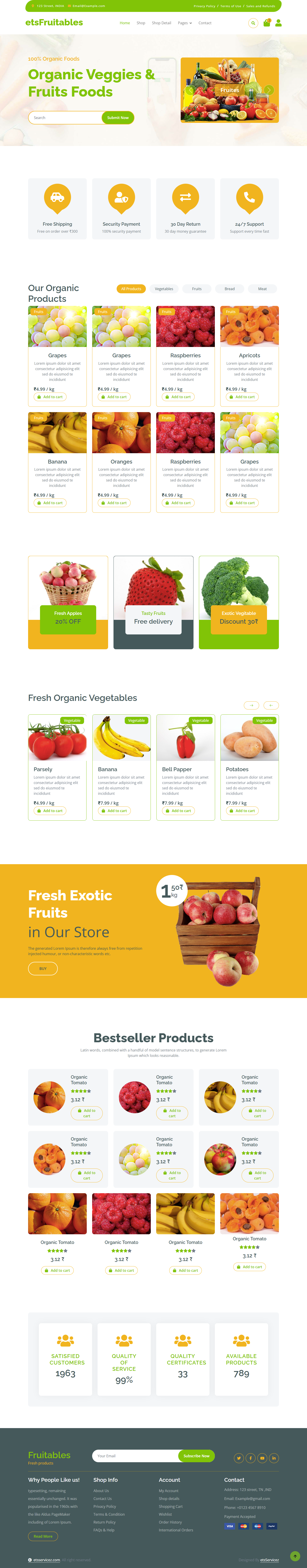 Fitness Template